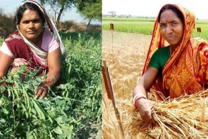 कृषि योजना: महिला किसान सशक्तिकरण योजना