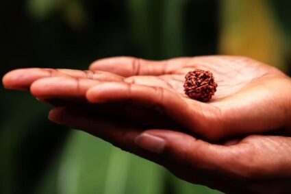 Benefits of Rudraksha: रुद्राक्ष: आध्यात्मिकता और विज्ञान का संगम; अच्छी सेहत समेत होते हैं कई फायदे